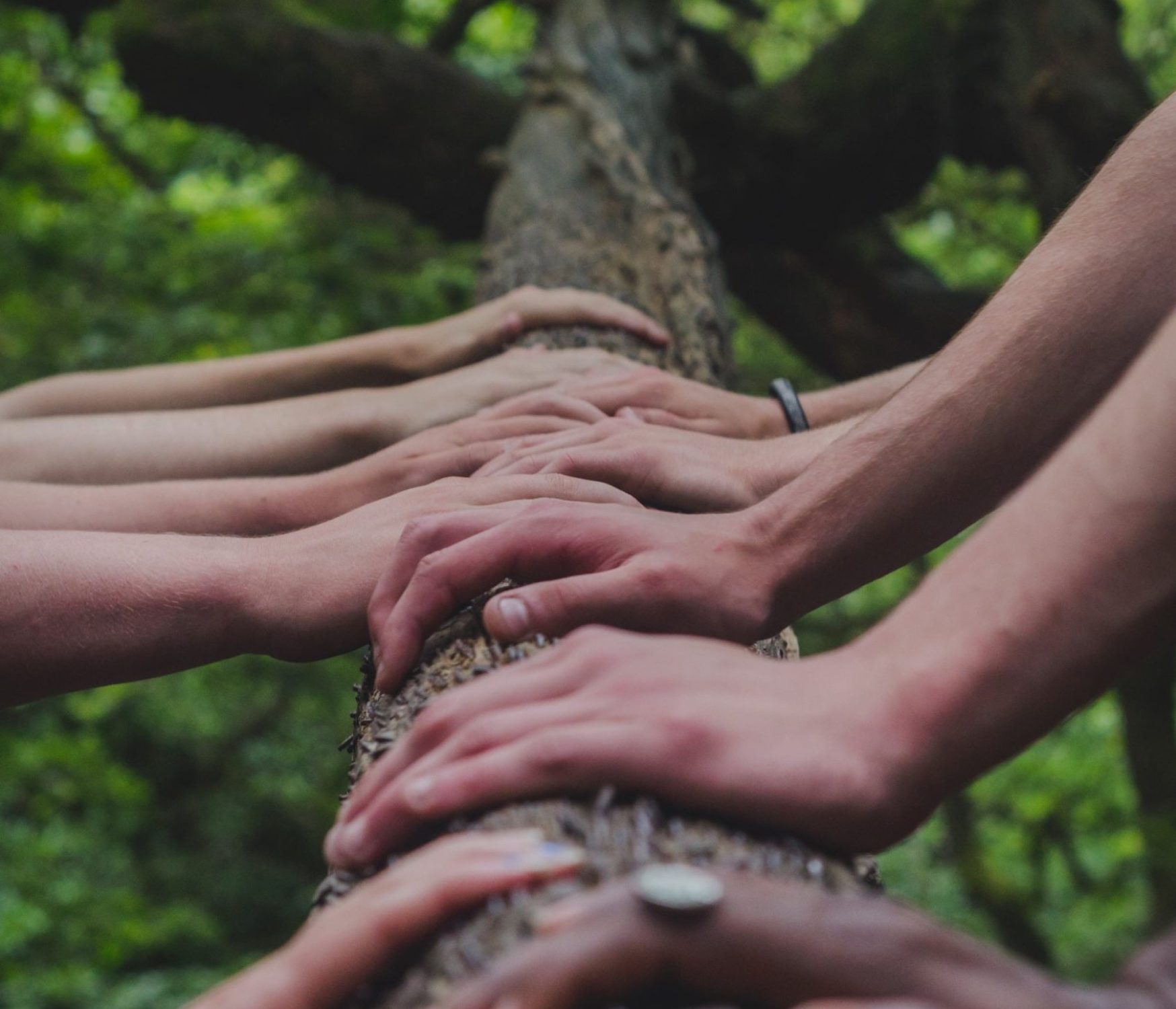 images-unsplash-com(82) images-unsplash-com(82)